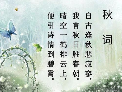 椅子的椅子怎么