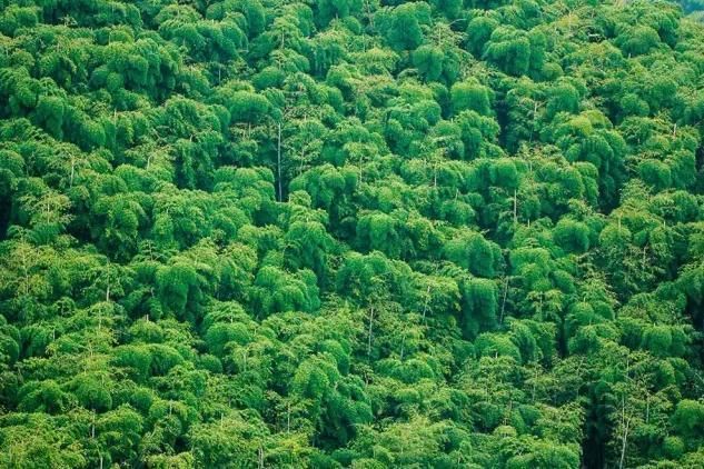 中国国内藏着不少旅游之地:四川九寨沟,贵州六