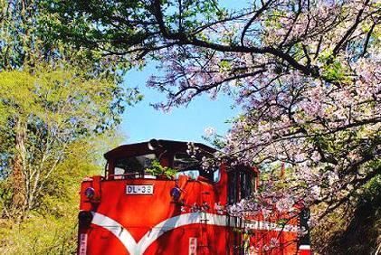 3月桃花开，三大生肖桃花运旺，一眼定情，如胶似漆爱一辈子!