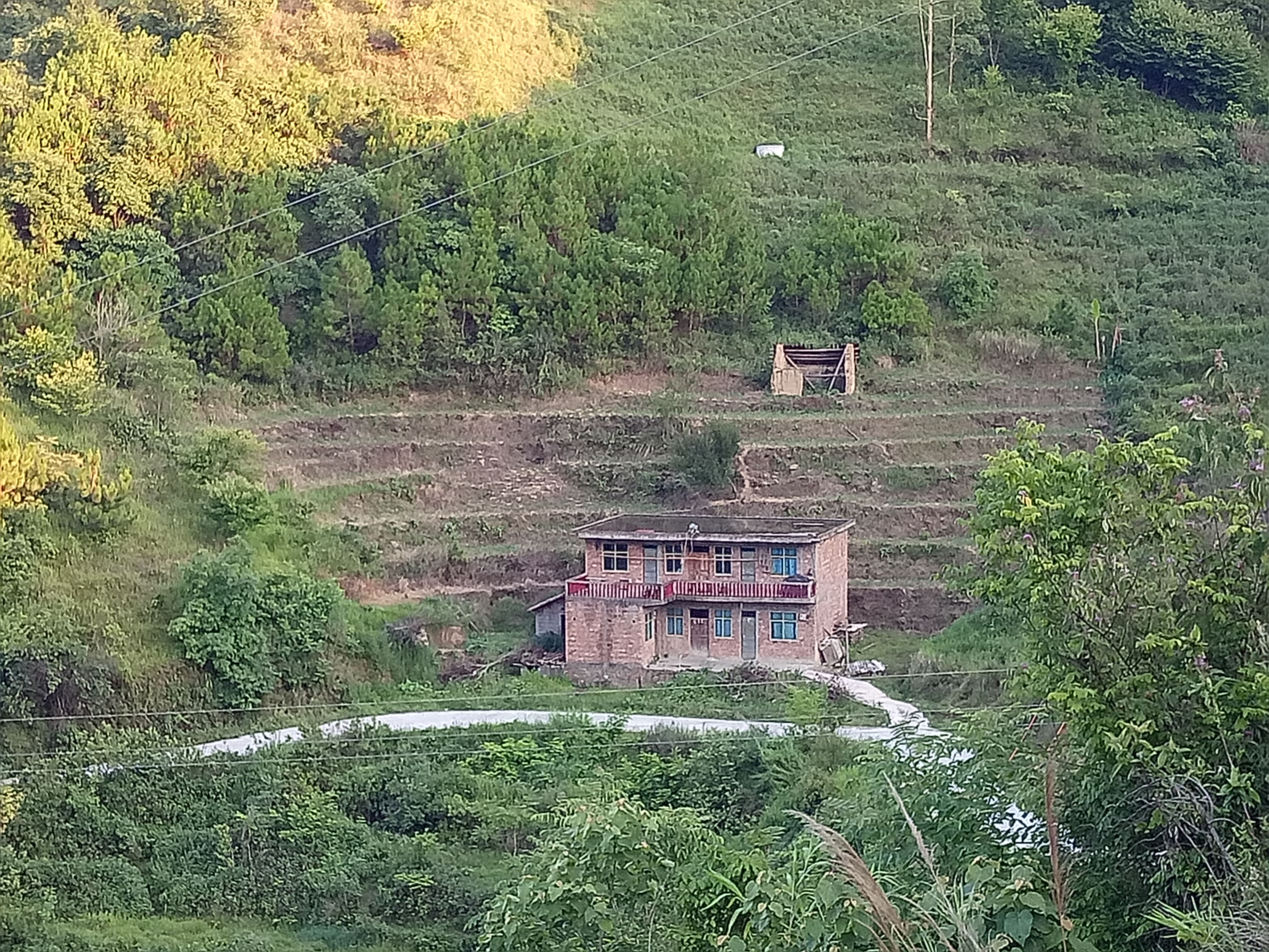 大山深处的一户人家，与茫茫山野为伴