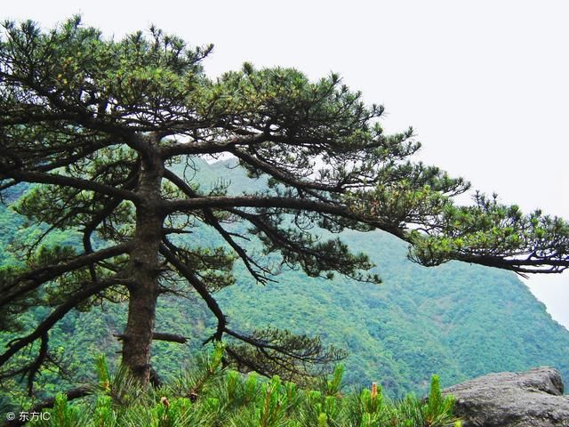 江西火了：五一游客达3383万人次，收入近200亿，均位居全国首位