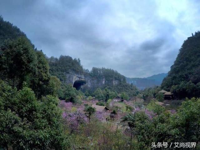 酉阳桃花源这里真的是人间的世外桃源! 建议你一辈子一定要去一次