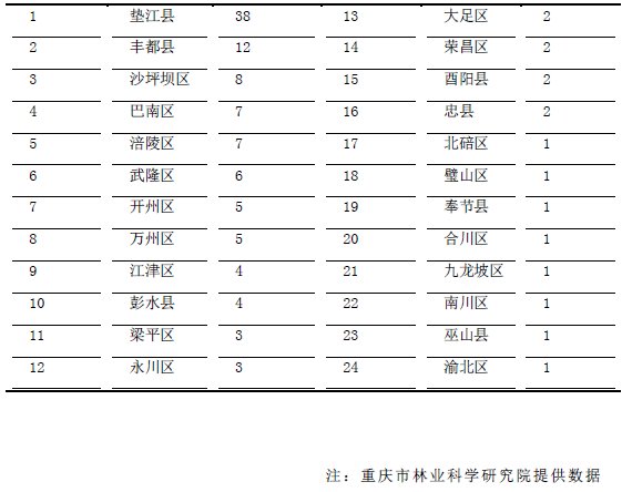 老问题来了，黄葛树还是黄桷树？专家这样说你认可吗