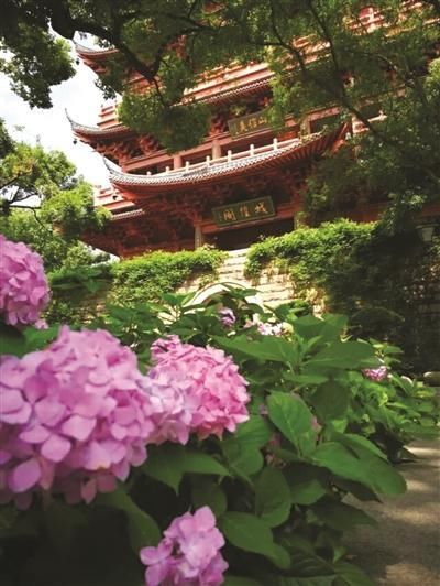 六月多雨的天气来了 预计周末杭州就会入梅