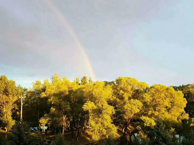 小学语文同音字组词汇总