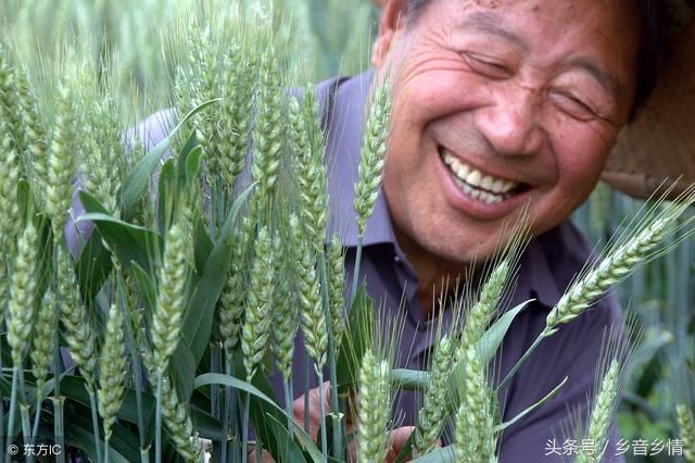 大年初五 送咱农民五个福