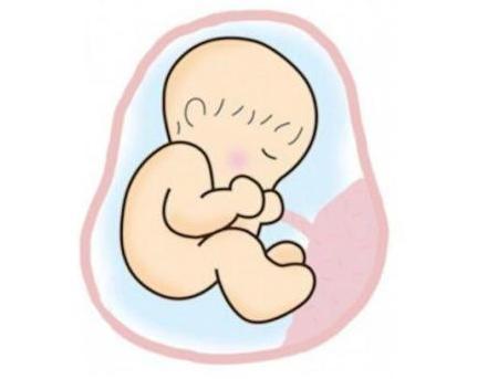 胎动, 有可能告诉你胎儿性别!