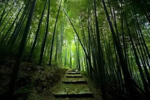 南京这些超适合一日游的地方,每一个都美如画!不看要后悔!