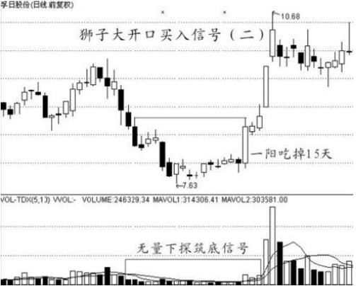 中国股市最赚钱的一种人悟出的买入绝技，易懂，简单实用!