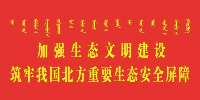 【靓东河】绿色农业敲开致富门