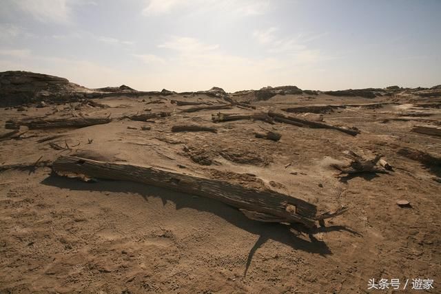 1034天的旅行,30万的景点门票……细数那些旅行中的“世界之最”