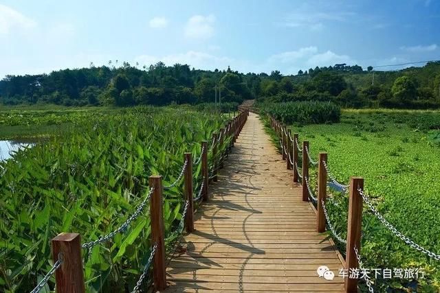 中国有两个最美丽的小城，一个是湖南的凤凰，一个是福建的……