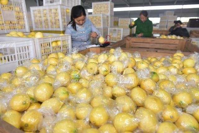 内江是四川哪里