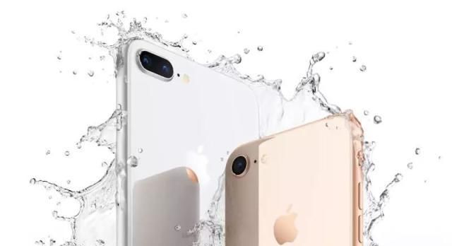 iPhone防水功能是真的吗?IP68和IP67差别在哪 九州娱乐网金百利站