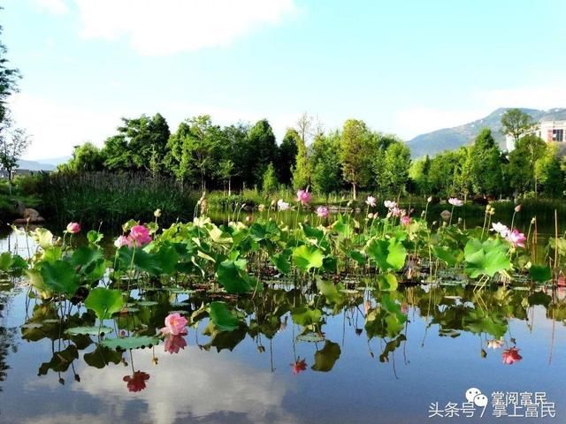 水中倒影，美到极致