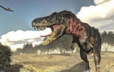 它是史上最强的肉食类恐龙-特暴龙