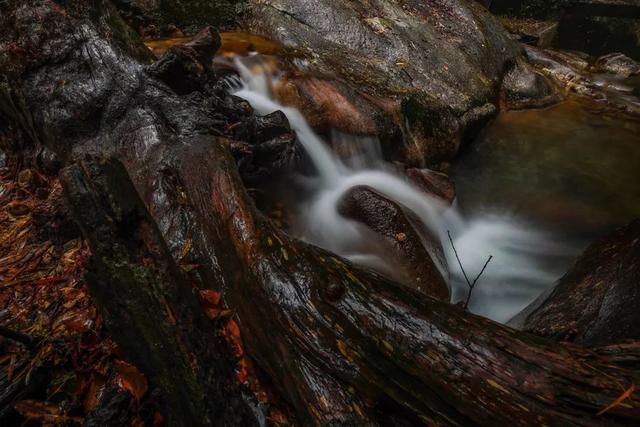 开启全新可能，和一汽马自达CX-4一起探寻春天