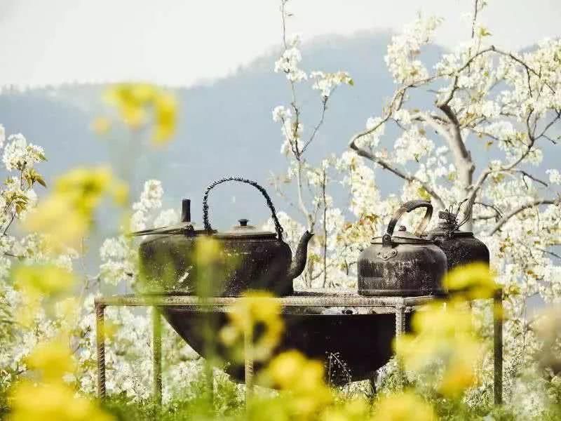 我在梨花盛开的听紫云，候你佳音！