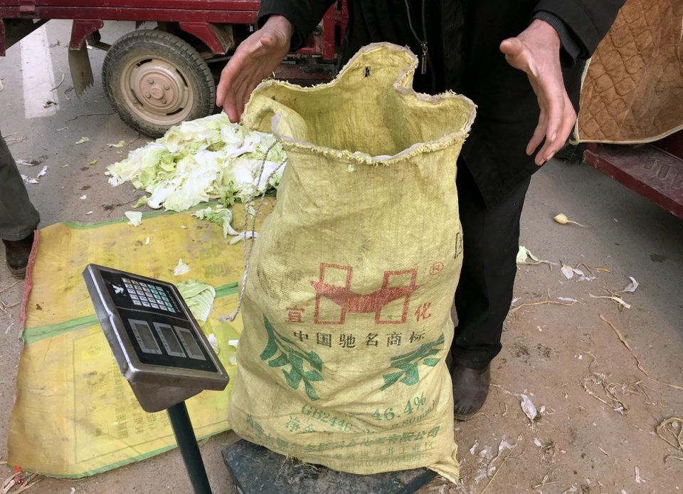 农村大爷集市卖白菜1块钱3斤,熟人10元买一大