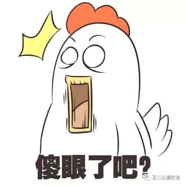 不同于养猪的叫苦连天,这些年养牛的发展一直蒸蒸日上
