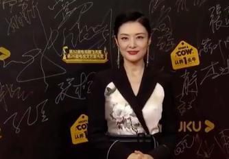 飞天奖女星红毯斗艳：秦海璐高贵优雅，孙俪雪肌亮瞎眼，马伊琍全场最惊艳