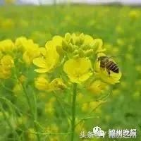 “六一”带娃游玩大锦州，这个省钱又好玩的攻略请收藏