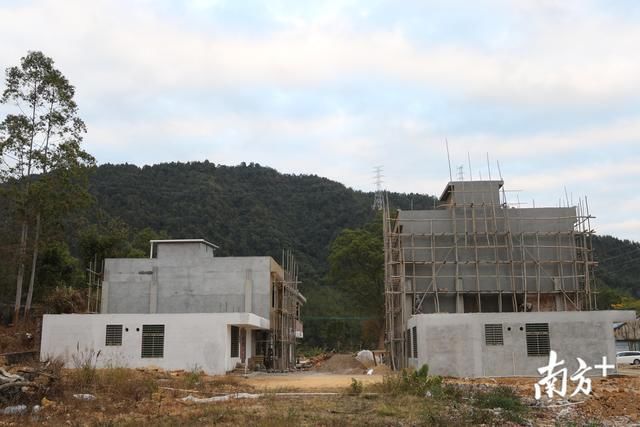 三层楼地基标准