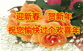 2018祝您全家幸福健康!狗年旺旺!旺事如意!旺事顺心!