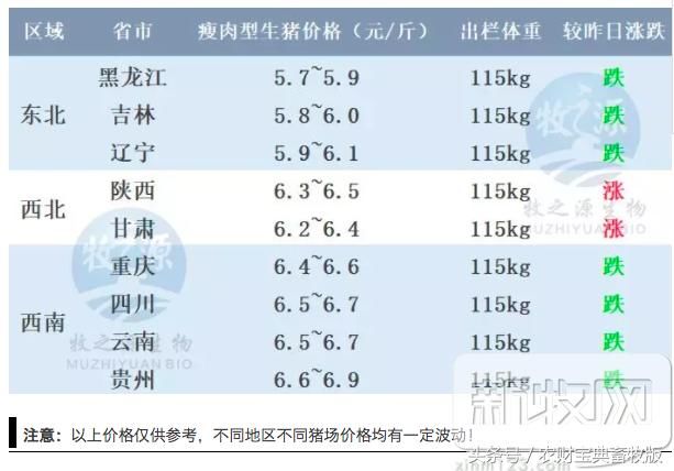 消费提升，猪价止跌回升！全国最新生猪报价