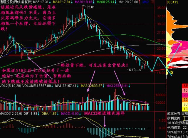 北京一女博士后放豪言,紧靠下跌的股票,赚翻天