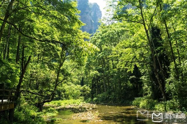 张家界森林公园2日行程，沉迷于湘西的醉人山色