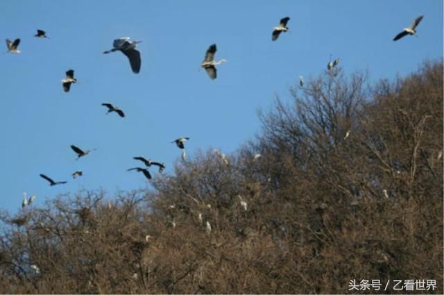 辽宁铁岭开原市四个值得一起的旅游景点，看看你去过几个？