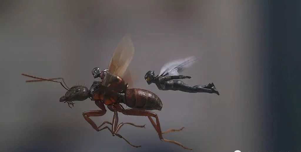 《复仇者联盟3》发生时蚁人在做啥?《蚁人2》