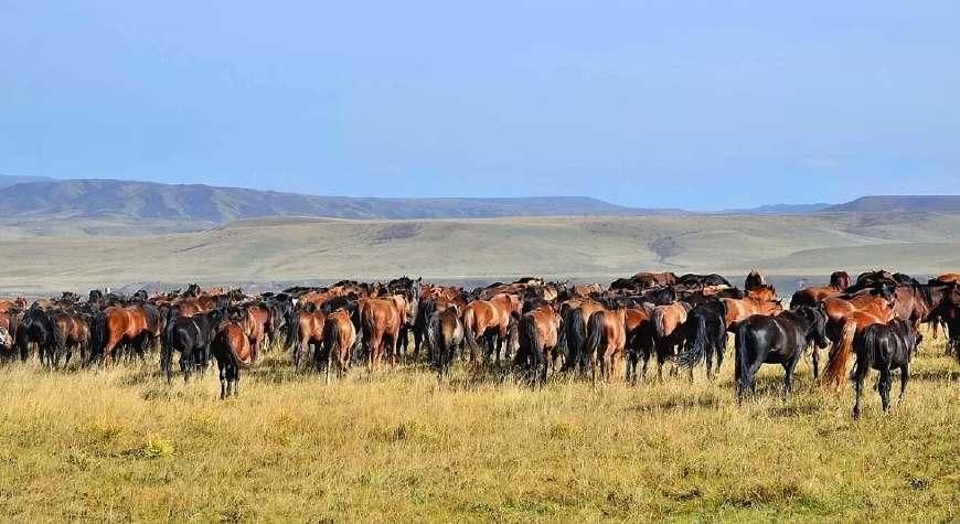 甘肃颇具潜力的城市，未来3年内，或将直逼天水和酒泉等城市