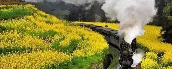 2018年川内最美旅行地时间表,够你耍一年