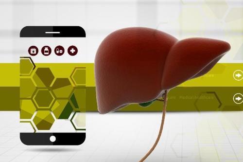 睡到半夜突然间醒来,嘴巴发干又发苦,或许是这