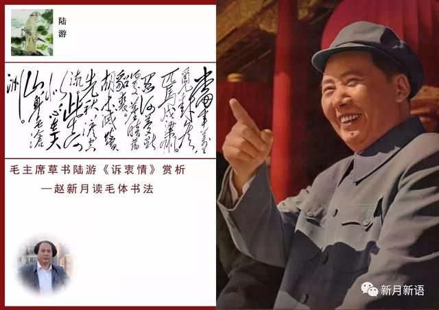 毛主席草书陆游《诉衷情》，精彩绝伦！赵新月毛体书法讲演录