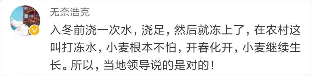 麦田变停车场，网友:糟蹋粮食!当地回应:你没在农村待过吧?