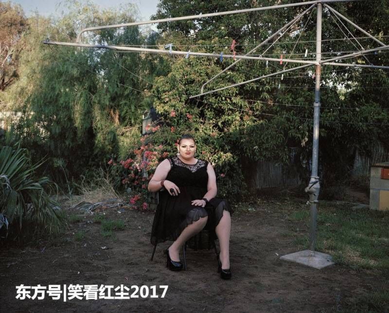 来自澳大利亚的有趣照片 来自澳洲的那些趣事，袋鼠乱穿马路，蛇