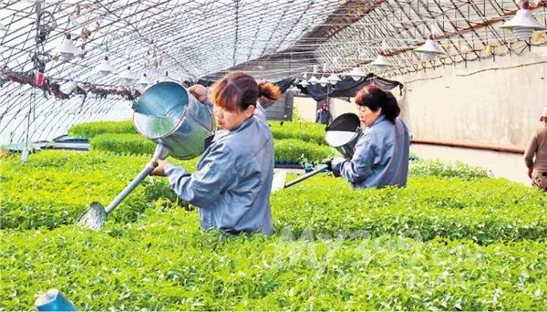 中国农民有多少人口_中国有多少人口(3)
