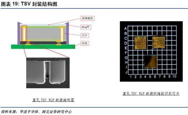 屏下指纹识别技术渐成趋势，产业链上哪些企业是龙头？