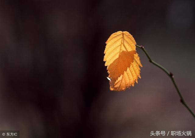 一个人，混得再落魄，也要放下不甘心，活成自己的风景！