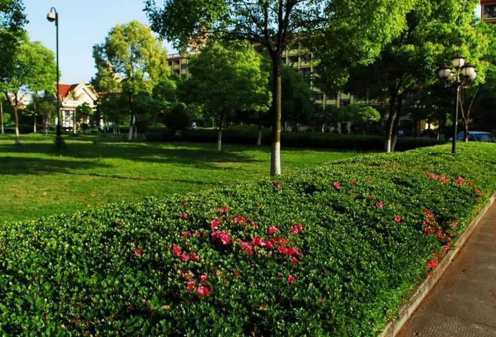 温州首推跨境电商班 老板式 教学模式引关注_