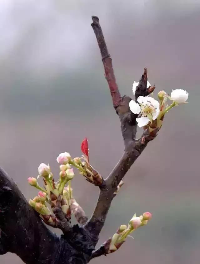 浙江竟然还藏着一个绝美的仙境，美过九寨沟，艳过喀纳斯！