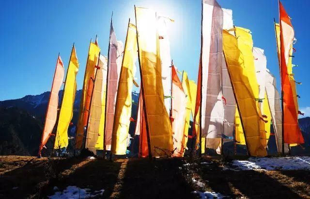 没想到四川有一处这么美腻的小城，约吗?