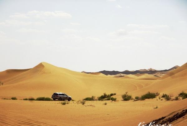 荒漠也不是荒漠了