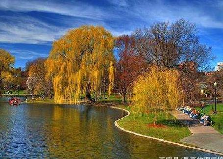 波士顿游记:拥有着美丽的河畔与安静的日落