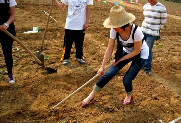 农村把土地租给城市人种菜,一分地6000一年,城