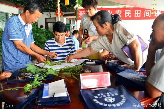 十年后，农村将会是什么样？将会是哪些人的天下？