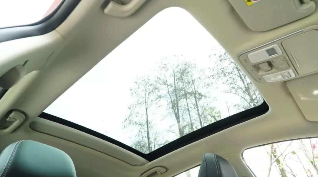 武大的花季不止樱花还有它!车德钢实拍2018款